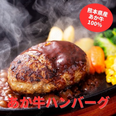 熊本県産 あか牛 ハンバーグ(150g×4個)4個セット(南阿蘇村)【配送不可地域:離島】【1554529】熊本県南阿蘇村15000肉加工肉(ハム・ソーセージ等)