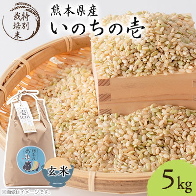 F{숢hY ߘa7NY ʍ͔| ̂̈() 5kg×1܁yF̂΁zy1577908zF{숢h19000āEpāEGāEāE