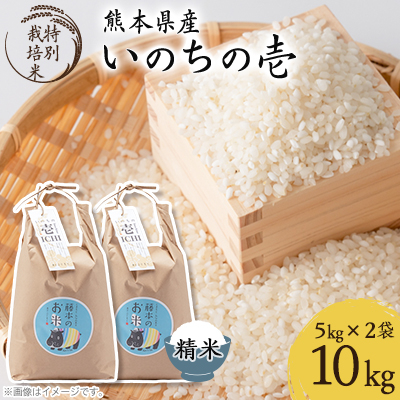 熊本県南阿蘇村産 令和7年産 特別栽培米 いのちの壱(白米)計10kg(5kg×2袋)【虹色のかば】【1577912】熊本県南阿蘇村36000米・パン白米
