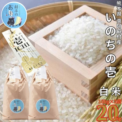 熊本県南阿蘇村産 令和7年産 特別栽培米 いのちの壱(白米) 10kg×2袋【虹色のかば】【1577914】熊本県南阿蘇村67000米・パン白米
