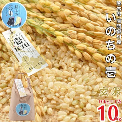 熊本県南阿蘇村産 令和7年産 特別栽培米 いのちの壱(玄米) 10kg×1袋【虹色のかば】【1577915】熊本県南阿蘇村33000米・パン玄米・雑穀米・もち米・餅
