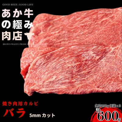 yGVJaz܂Ƃ ̋ɂ oē (5mm) v600g(200g×3P)yzsnFzy1671707zF{숢h11000