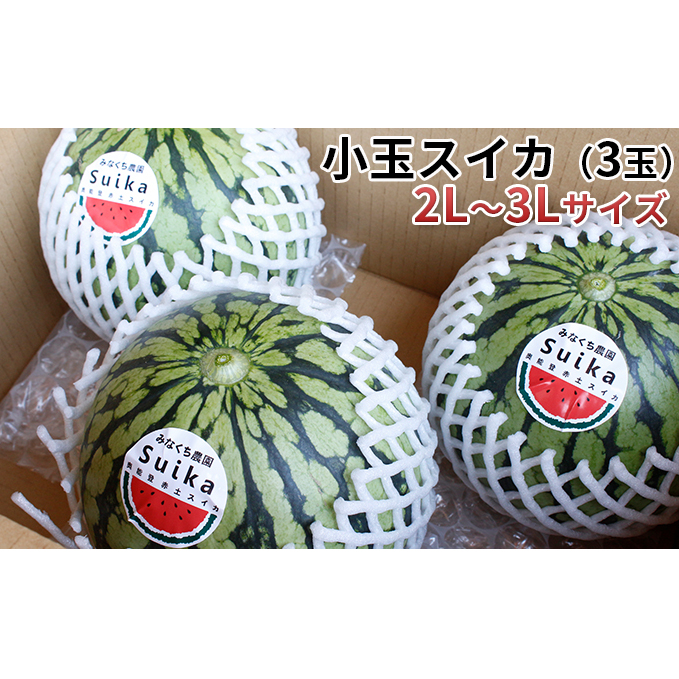 【在庫数限定】小玉スイカ(3玉)1玉約1.8kg〜2.8kg 果物類 石川県珠洲市14000果物・フルーツメロン・スイカ