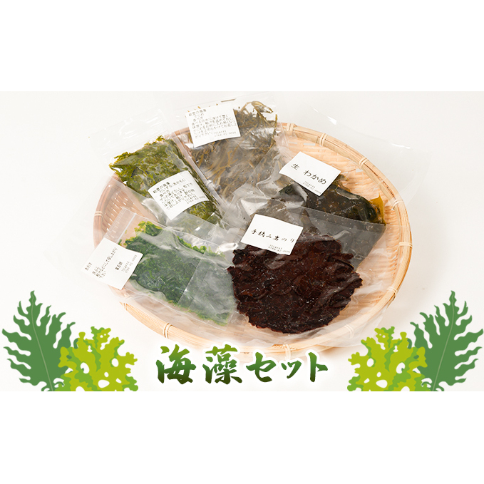 海藻セット 海の幸 海藻詰め合わせ あかもく 生わかめ かじめ100 手摘岩のり あおさ 食材 石川県珠洲市14000魚介・海産物のり・海藻