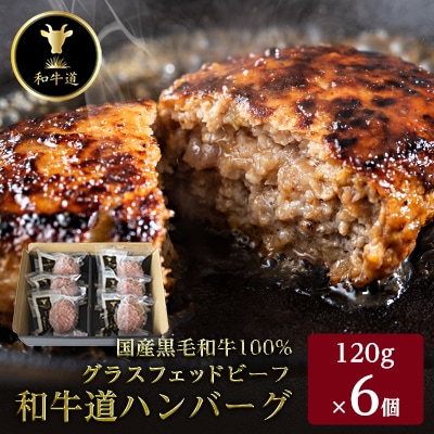 和牛道ハンバーグ120g×6食セット 北海道 大樹町 国産 黒毛和牛 グラスフェッドビーフ【配送不可地域:離島】【1397514】北海道大樹町13000肉加工肉(ハム・ソーセージ等)