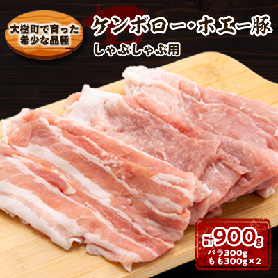 P{[EzG[ Ԃԗp v900g (o300gE300g×2pbN)yzsnFzy1484142zkC10000ؓ