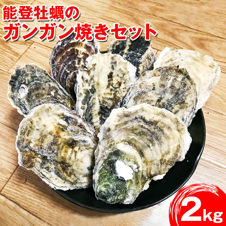能登牡蠣のガンガン焼きセット20個(約2kg)(冷凍)(牡蠣ナイフ、片手用軍手付)石川県七尾市11000魚介・海産物貝類