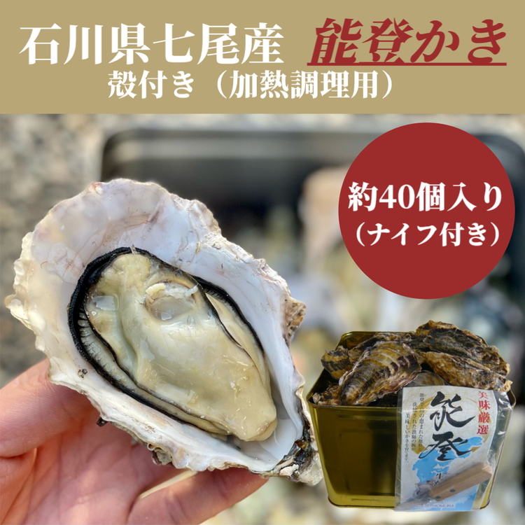 石川県七尾産 能登かき 殻付き 半缶(約40個) ※北海道・沖縄・離島への配送不可 ※2025年12月上旬〜2026年5月下旬頃に順次発送予定石川県七尾市23000魚介・海産物貝類