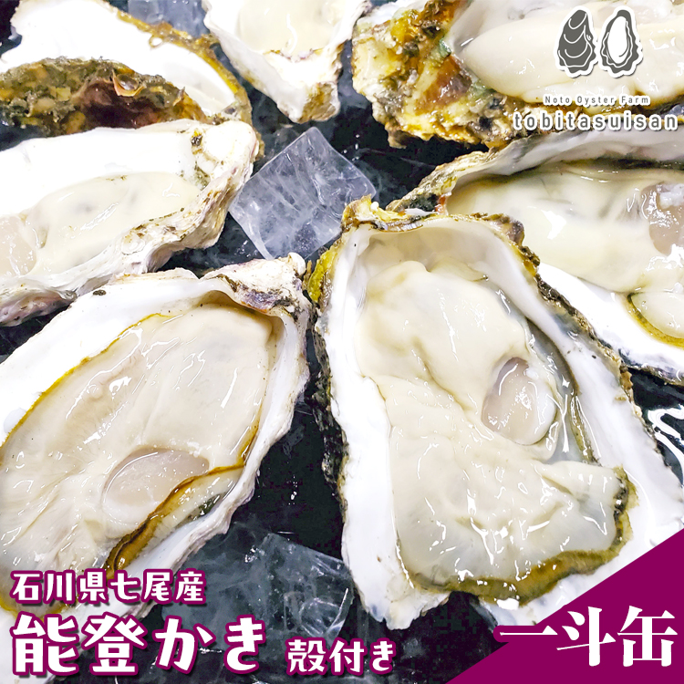 石川県七尾産 能登かき 殻付き一斗缶|牡蠣 専用ナイフ 牡蠣 かき カキ 能登の里山里海 石川県七尾市 能登半島 ※要加熱 ※2026年1月上旬〜5月下旬頃に順次発送予定 ※北海道・沖縄・離