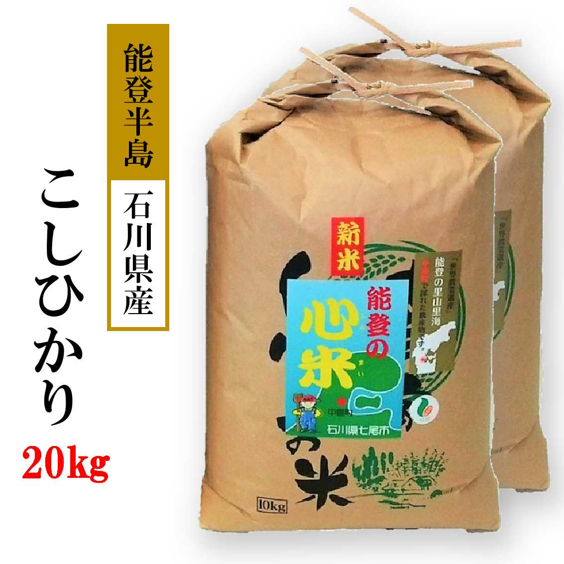 新米 令和7年産 20kg  こしひかり 能登の心米(精米20Kg)10kg×2袋 |  白米 コシヒカリ ブランド米 お米  石川県 七尾市 復興 復興支援石川県七尾市48000米・パン白米
