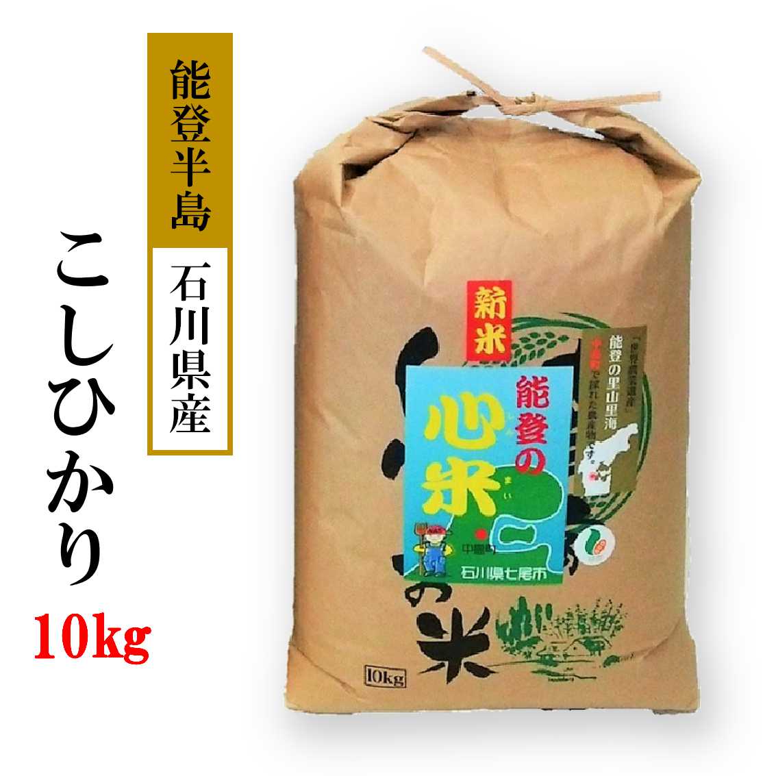 令和7年産 新米 10kg  こしひかり 能登の心米(精米10kg)10kg×1袋| 白米 お米 コシヒカリ ブランド米  石川県 能登 七尾市 復興 復興支援石川県七尾市25000米・パン白米