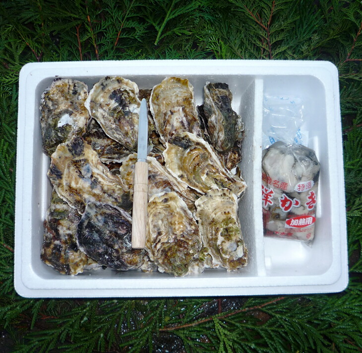  y  \o ނgƊktZbgEMpmނg500gEkt25`30nby JL Mp JLtC CN  Y ΐ쌧 s \o ΐ쌧s25000ECY