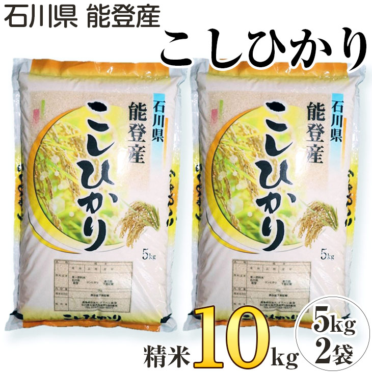 石川県 能登産 こしひかり 精米10kg(5kg×2袋)※2024年1月中旬〜2月下旬頃に順次発送予定石川県七尾市14000米・パン白米