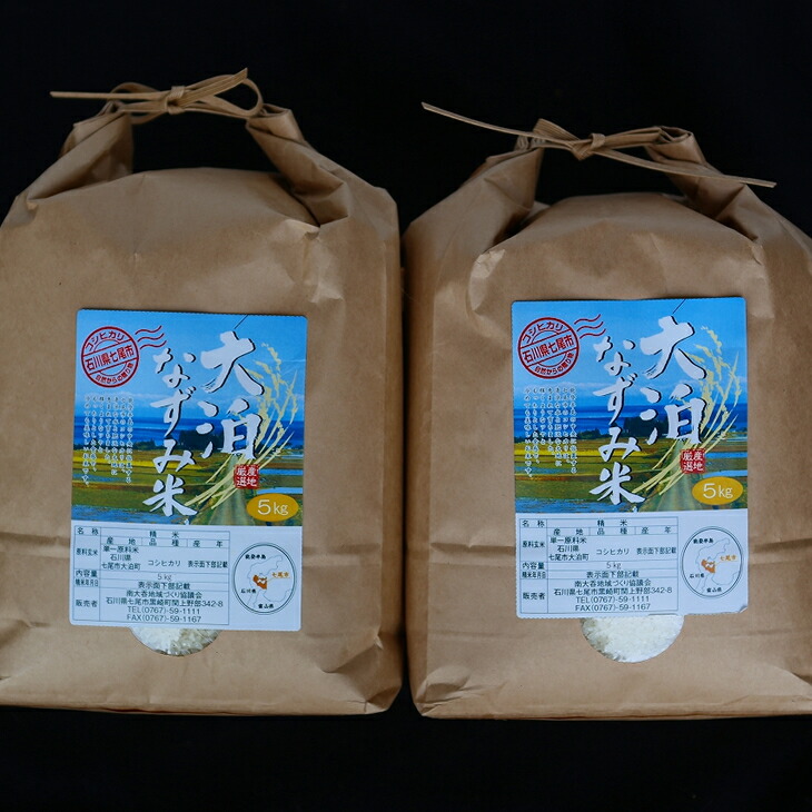 米 10kg / 大泊なずみ米 10kg(5kg×2袋)精米 ※2024年10月中旬〜2025年3月下旬頃に順次発送予定石川県七尾市16000米・パン白米