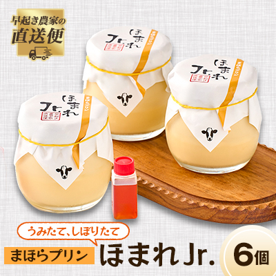 うみたて、しぼりたてまほらプリン ほまれJr【配送不可地域:離島】【1033448】岡山県津山市12000菓子・スイーツプリン・ゼリー