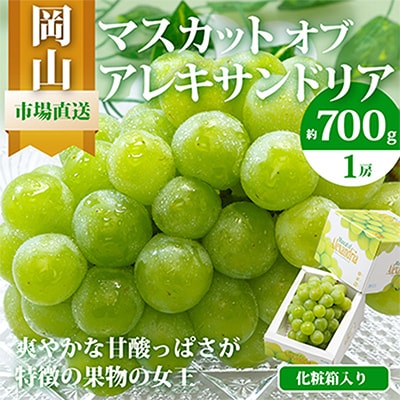 【2025年発送】岡山県産マスカットオブアレキサンドリア1房(秀品以上・700g以上)化粧箱入り【配送不可地域:離島・北海道・沖縄】【1150087】岡山県津山市19000果物・フルーツマスカット・ぶ