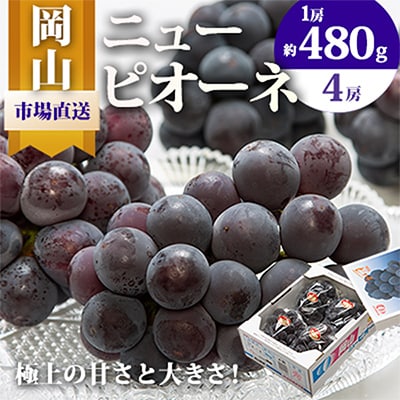 【2025年発送】岡山県産 ニューピオーネ4房(1房480g以上・合計約2kg)【配送不可地域:離島・北海道・沖縄】【1281357】岡山県津山市25000果物・フルーツマスカット・ぶどう
