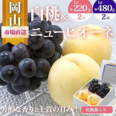 【2026年発送】岡山県産 詰合せ/白桃とニューピオーネ 化粧箱入り【配送不可地域:離島・北海道・沖縄】【1281365】岡山県津山市24000果物・フルーツもも・すもも