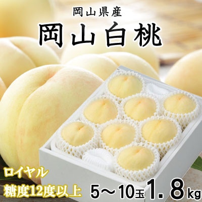【先行受付】岡山白桃 ロイヤル 5〜10玉 1.8kg 岡山県産【配送不可地域:離島・北海道・沖縄】【1305703】岡山県津山市21000果物・フルーツもも・すもも
