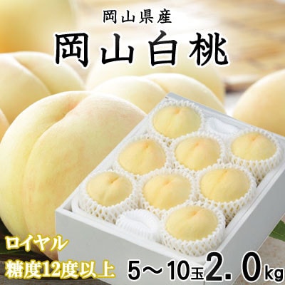 【先行受付】岡山白桃 ロイヤル 5〜10玉 2kg 岡山県産【配送不可地域:離島・北海道・沖縄】【1305708】岡山県津山市25000果物・フルーツもも・すもも