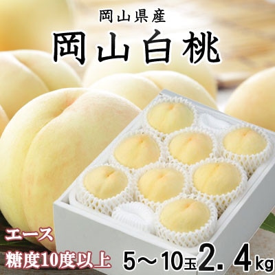 【先行受付】岡山白桃 エース 5〜10玉 2.4kg 岡山県産【配送不可地域:離島・北海道・沖縄】【1305715】岡山県津山市25000果物・フルーツもも・すもも
