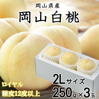 【先行受付】岡山白桃 ロイヤル 3玉×250g(2Lサイズ) 岡山県産【配送不可地域:離島・北海道・沖縄】【1305721】岡山県津山市16000果物・フルーツもも・すもも