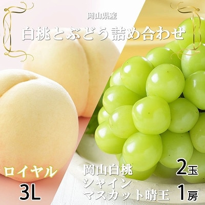 ystzRY@RC3L300g×2ʁEVC}XJbg600g×1[@lyzsnFEkCEzy1308767zRÎRs31000ʕEt[cE