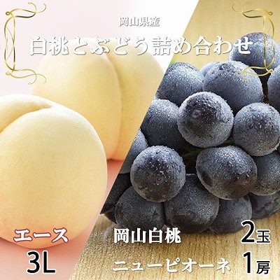 【先行受付】岡山県産 岡山白桃エース3Lサイズ300g×2玉・ニューピオーネ600g×1房 詰合せ【配送不可地域:離島・北海道・沖縄】【1309116】岡山県津山市18000果物・フルーツもも・すもも