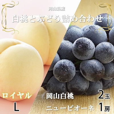 【先行受付】岡山県産 岡山白桃ロイヤルLサイズ200g×2玉・ニューピオーネ400g×1房 詰合せ【配送不可地域:離島・北海道・沖縄】【1309122】岡山県津山市18000果物・フルーツもも・すもも