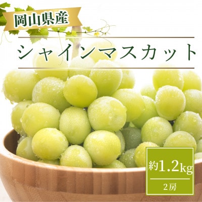 【2025年お届け】岡山県産 シャインマスカット  約1.2kg(2房)【配送不可地域:離島】【1332985】岡山県津山市15000果物・フルーツマスカット・ぶどう