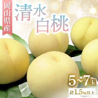 ◆先行受付◆ 岡山県産 清水白桃5〜7玉 2026年発送【配送不可地域:離島・北海道・沖縄】【1349770】岡山県津山市22000果物・フルーツもも・すもも