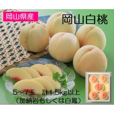 st@RY@R5`7(1)@2026NyzsnFEkCEzy1349774zRÎRs16000ʕEt[cE