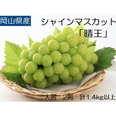 ◆先行受付◆    秋のシャインマスカット「晴王」2房 2026年発送【配送不可地域:離島・北海道・沖縄】【1349782】岡山県津山市35000果物・フルーツマスカット・ぶどう