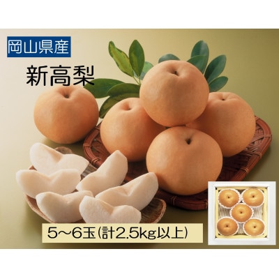 ◆先行受付◆ 岡山県産 新高梨 2025年発送【配送不可地域:離島】【1350318】岡山県津山市17000果物・フルーツりんご・梨