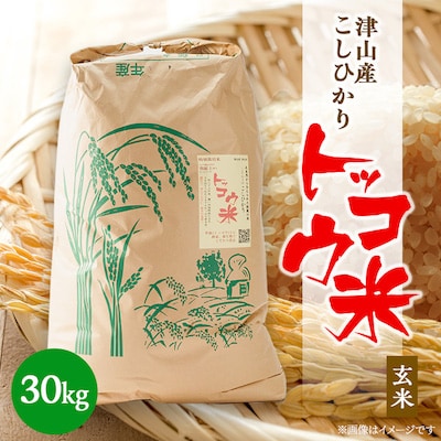 【突鉱土育ち】津山産トッコウ米(こしひかり)玄米30kg【1361987】岡山県津山市100000米・パン玄米・雑穀米・もち米・餅
