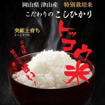 【突鉱土育ち】津山産トッコウ米(こしひかり)10kg【1361989】岡山県津山市34000米・パン白米