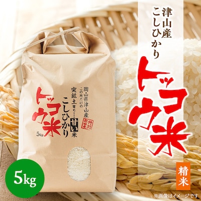 【突鉱土育ち】津山産トッコウ米(こしひかり)5kg【1361991】岡山県津山市17000米・パン白米