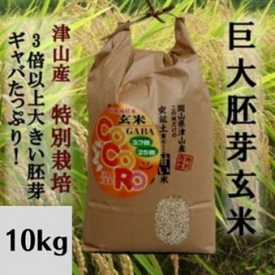 【突鉱土育ち】巨大胚芽米CoCoRo 10kg【1361993】岡山県津山市34000米・パン玄米・雑穀米・もち米・餅