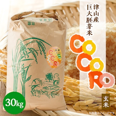 【突鉱土育ち】巨大胚芽米CoCoRo 30kg【1361995】岡山県津山市100000米・パン玄米・雑穀米・もち米・餅