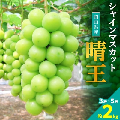 y2026NzRYyzVC}XJbg2kg!8{ȍ~yzsnFzy1365277zRÎRs23500ʕEt[c}XJbgEԂǂ