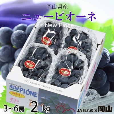 y2025N8蔭zRY@j[sI[l@2kg(3[`6[)yzsnFEkCEzy1365849zRÎRs19000ʕEt[c}XJbgEԂǂ