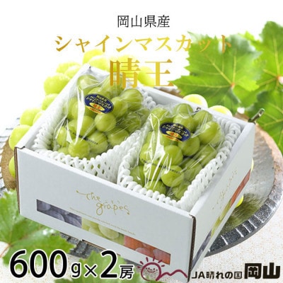 y2026N7{菇zRY VC}XJbg  600g×2[yzsnFEkCEzy1365935zRÎRs28000ʕEt[c}XJbgEԂǂ
