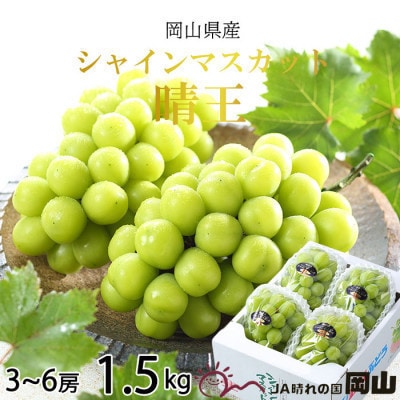 【2025年8月より発送】岡山県産 シャインマスカット 晴王 1.5kg(3房〜6房)【配送不可地域:離島・北海道・沖縄】【1366038】岡山県津山市21000果物・フルーツマスカット・ぶどう