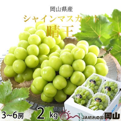 y2025N8蔭zRY@VC}XJbg@@2kg(3[`6[)yzsnFEkCEzy1366039zRÎRs25000ʕEt[c}XJbgEԂǂ