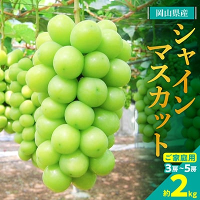 【2026年発送】訳あり!シャインマスカット約2kg!8月中旬〜順次発送【人気の岡山産ぶどう】【配送不可地域:離島】【1378275】岡山県津山市18000果物・フルーツマスカット・ぶどう