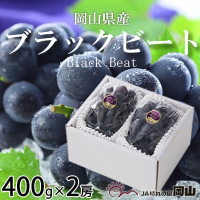 【先行受付】岡山県産 ブラックビート 400g×2房【配送不可地域:離島・北海道・沖縄】【1400525】岡山県津山市12000果物・フルーツマスカット・ぶどう