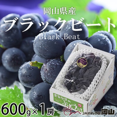 【先行受付】岡山県産 ブラックビート 600g×1房【配送不可地域:離島・北海道・沖縄】【1400527】岡山県津山市12000果物・フルーツマスカット・ぶどう