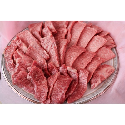 つやま和牛焼肉セット(3〜4人用)800g【配送不可地域:離島】【1400921】岡山県津山市27000肉牛肉