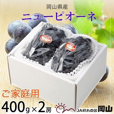 【2025年8月より発送】ご家庭用 岡山県産 ピオーネ 400g×2房【配送不可地域:離島】【1409714】岡山県津山市12000果物・フルーツマスカット・ぶどう