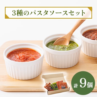 3種のパスタソースセット【配送不可地域:離島】【1419051】岡山県津山市19000鍋セット・総菜・加工食品その他 鍋セット・総菜・加工食品